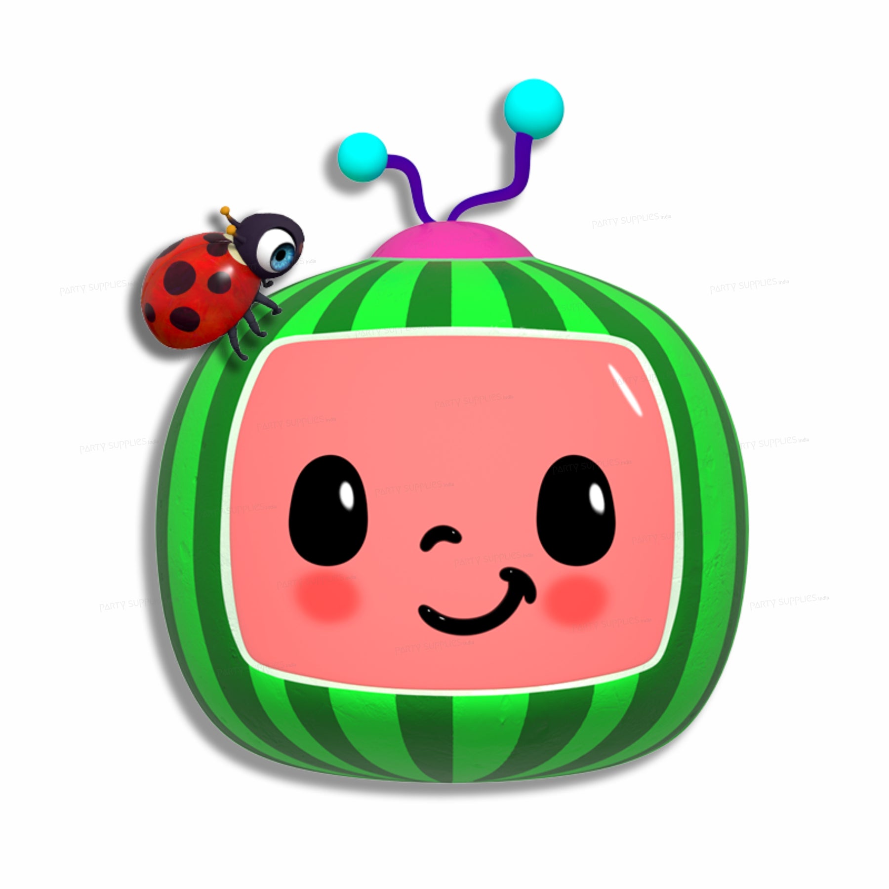 Coco Melon Theme Boy