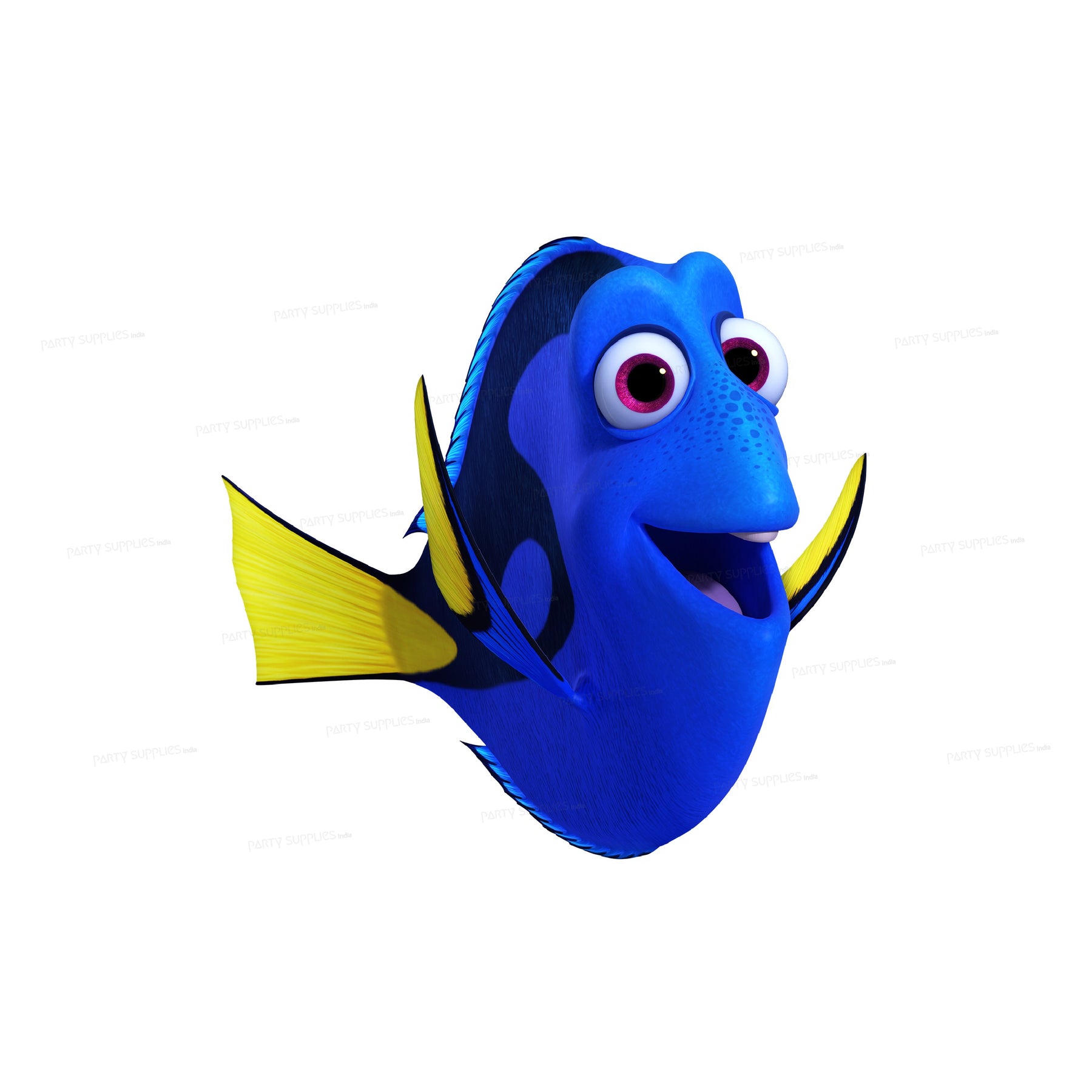 Nemo and Dory Theme